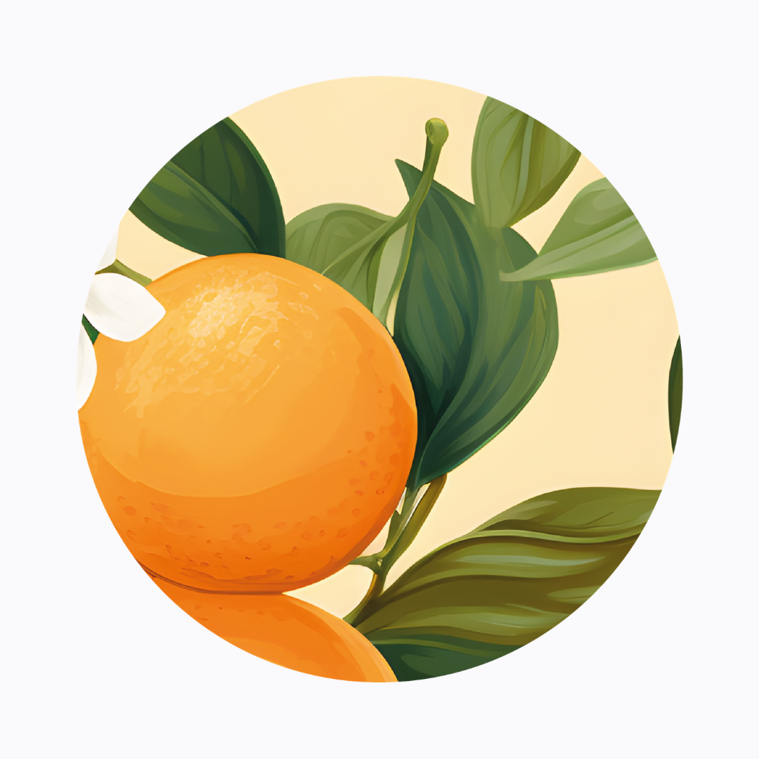 רביעיית פלייסמט ויניל עגול - דגם ריח הדרים