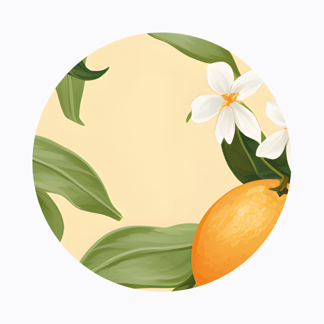 רביעיית פלייסמט ויניל עגול - דגם ריח הדרים