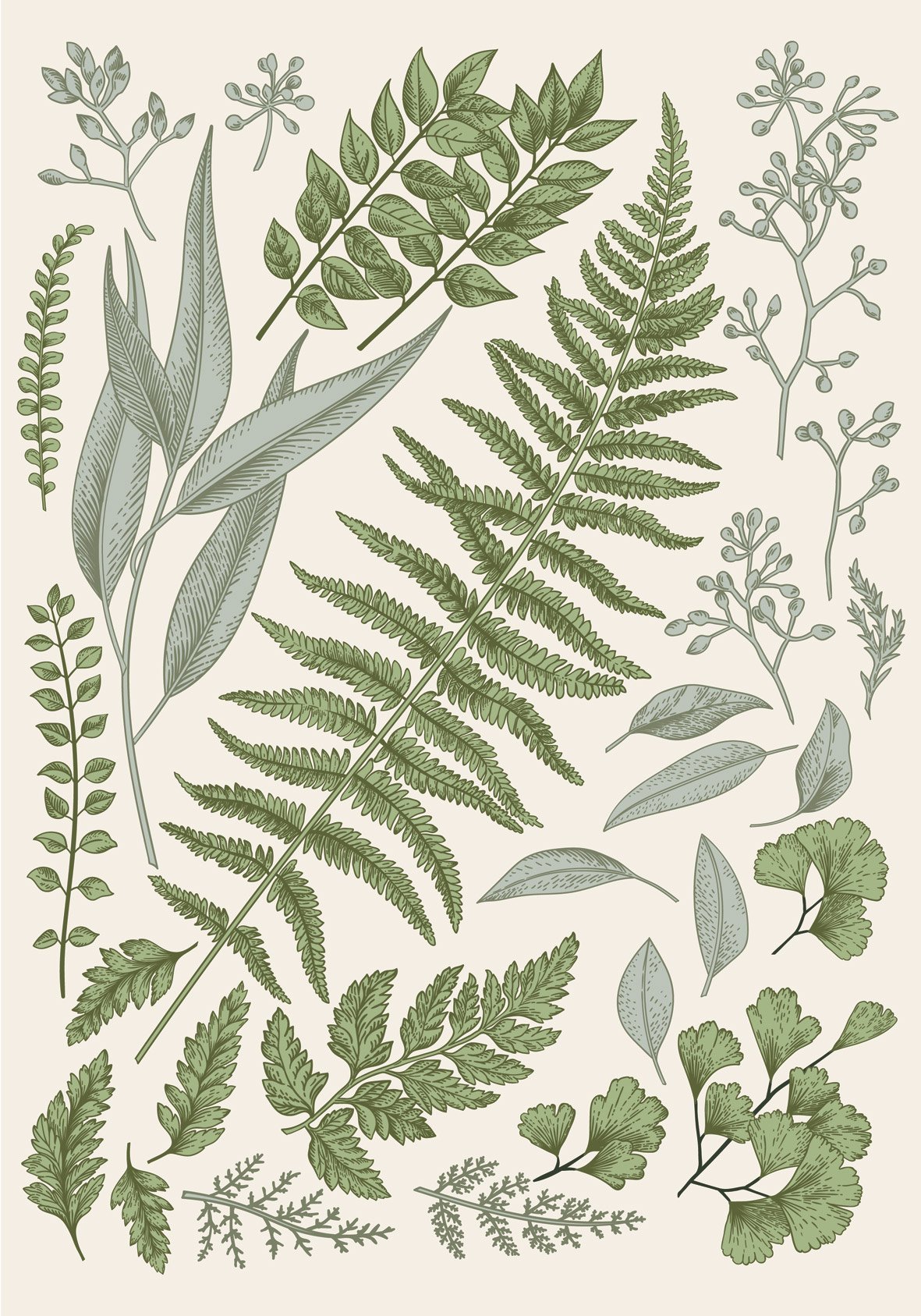 פוסטר - משפחת עלים בהיר