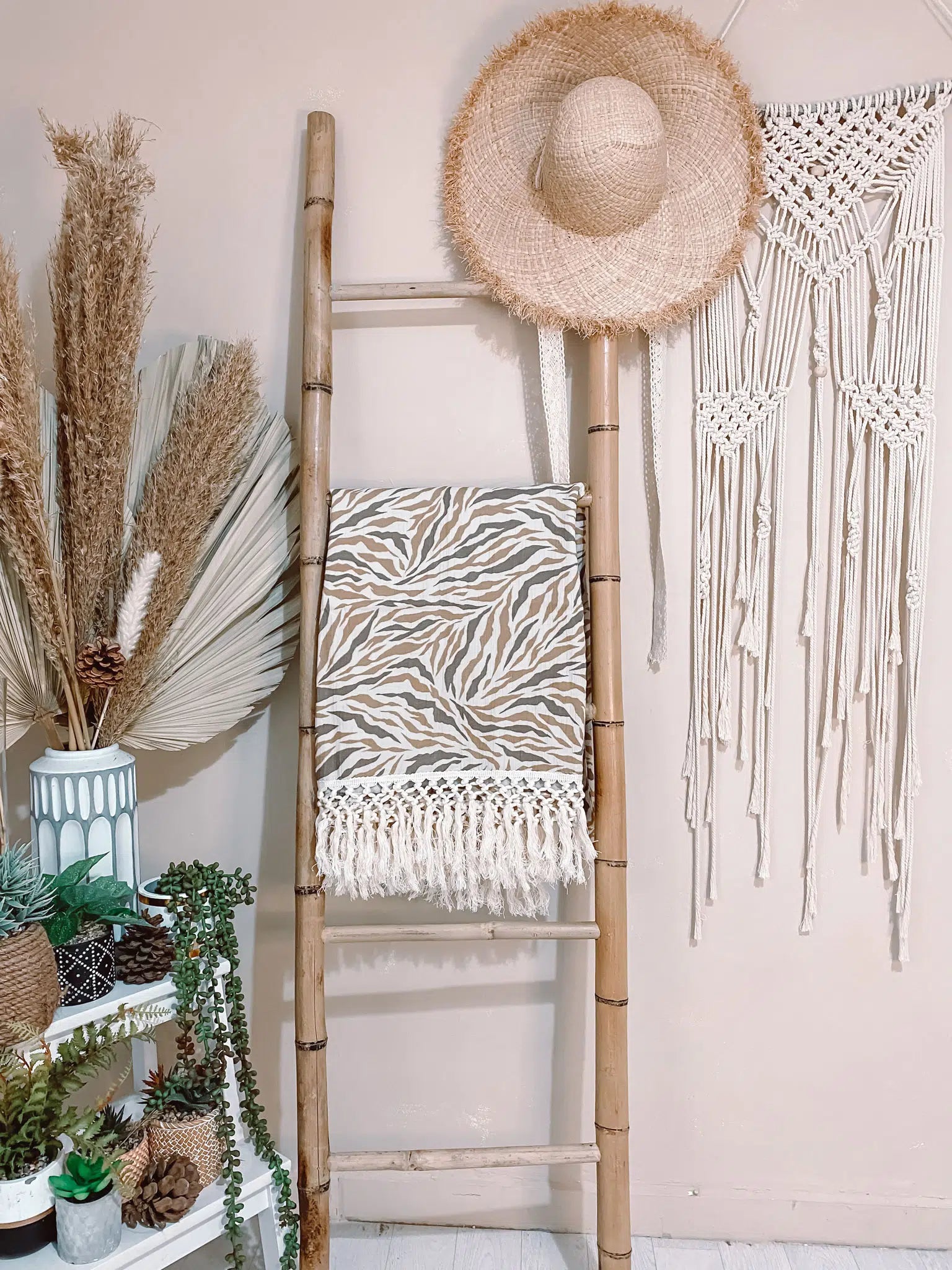 כירבולית טטרה Zebra