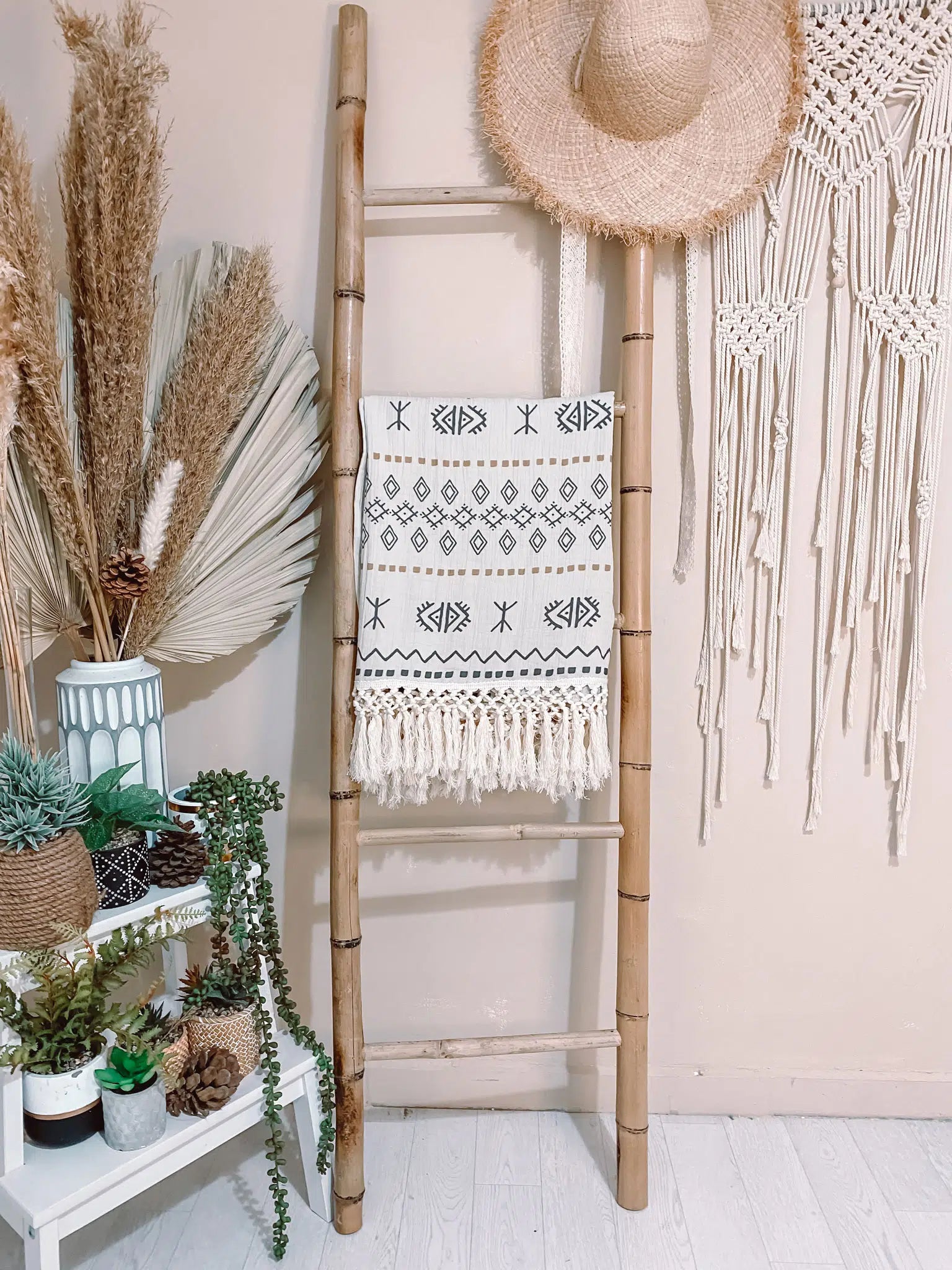 כירבולית טטרה Berber