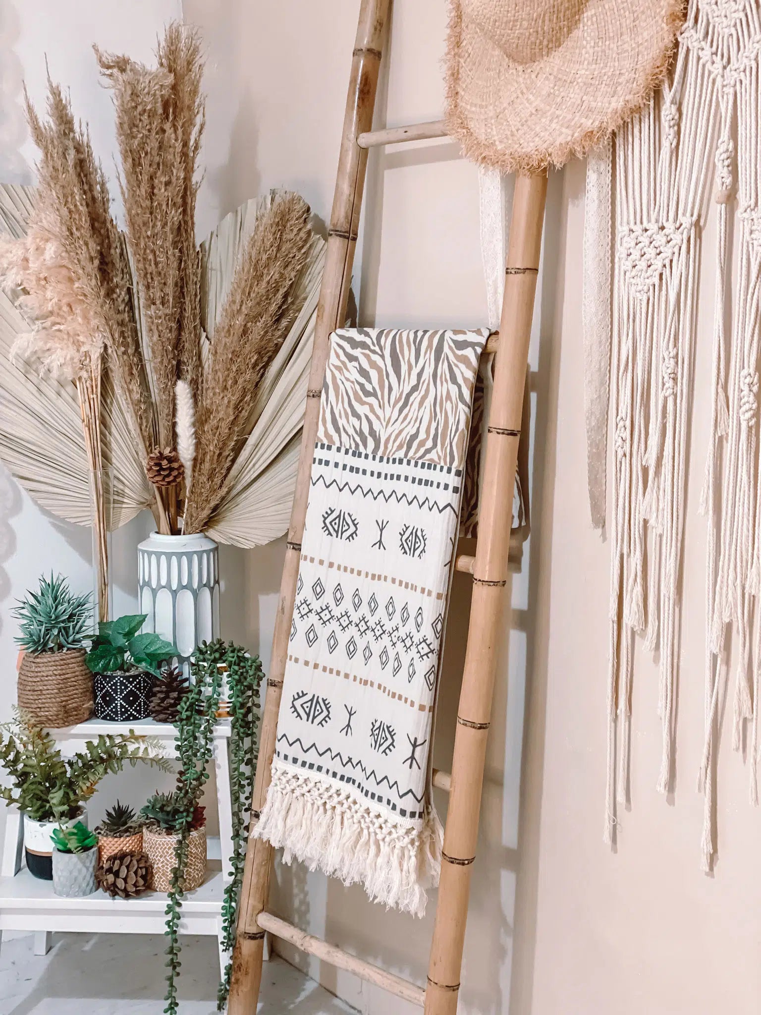 כירבולית טטרה Desert