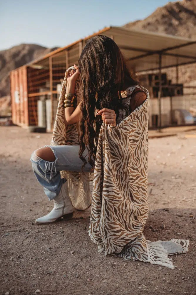 כירבולית טטרה Zebra