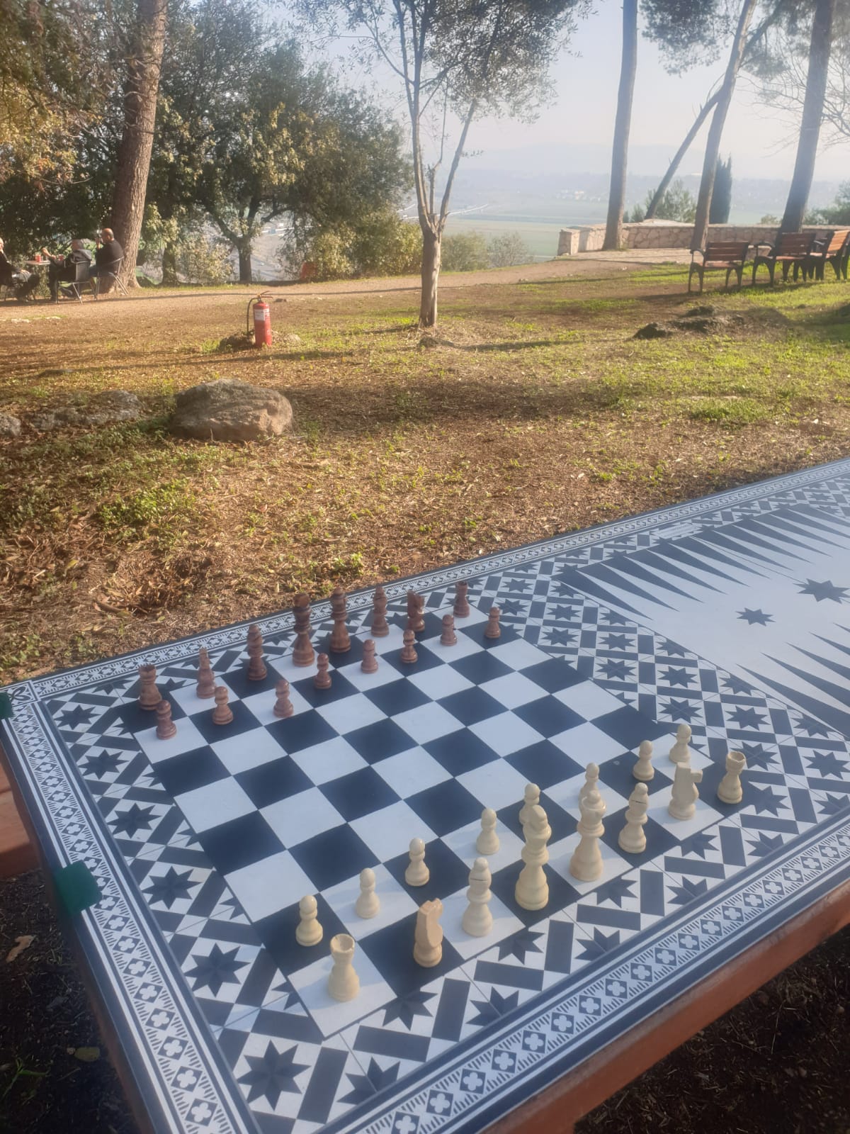 מפת ויניל - שח מט