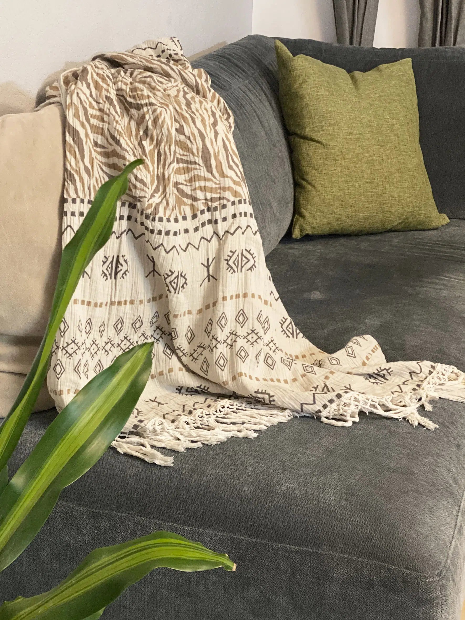 כירבולית טטרה Desert