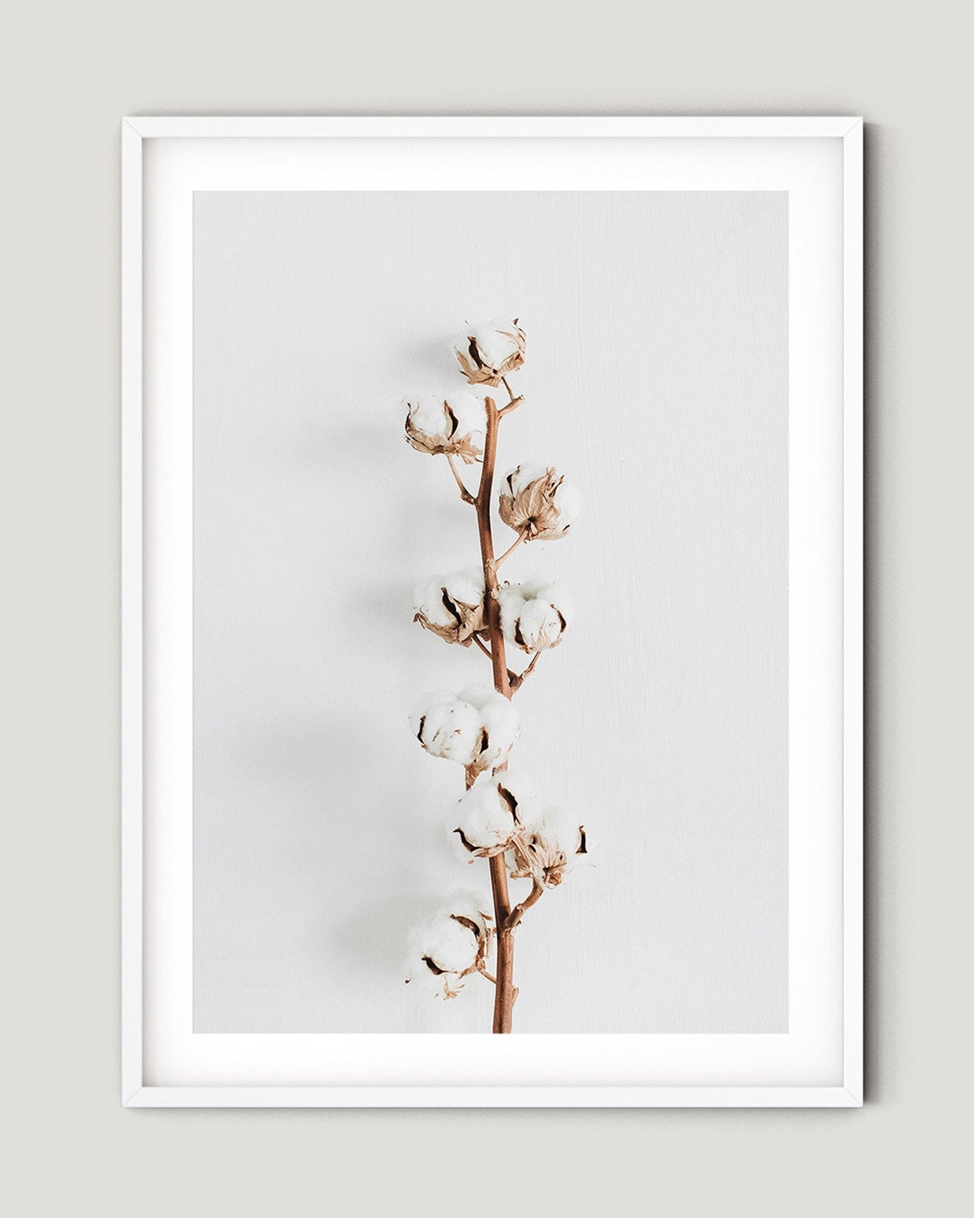 פוסטר - Cotton Branch 01