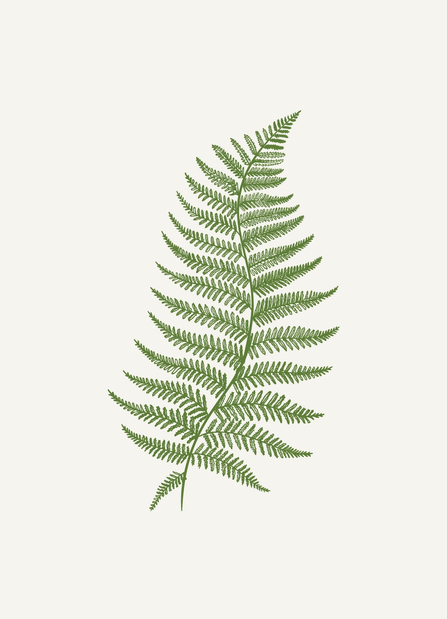 סט 5 הדפסים - רישום עלים