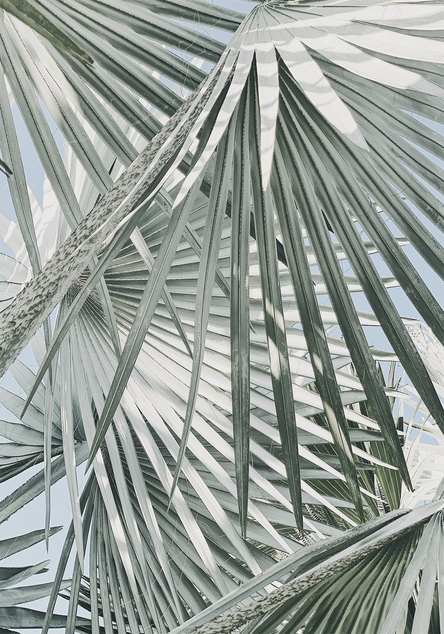 זוג הדפסים - Let's get high