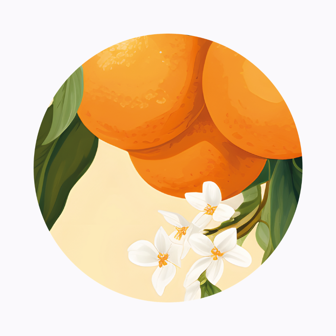 רביעיית פלייסמט ויניל עגול - דגם ריח הדרים