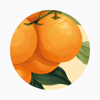 רביעיית פלייסמט ויניל עגול - דגם ריח הדרים