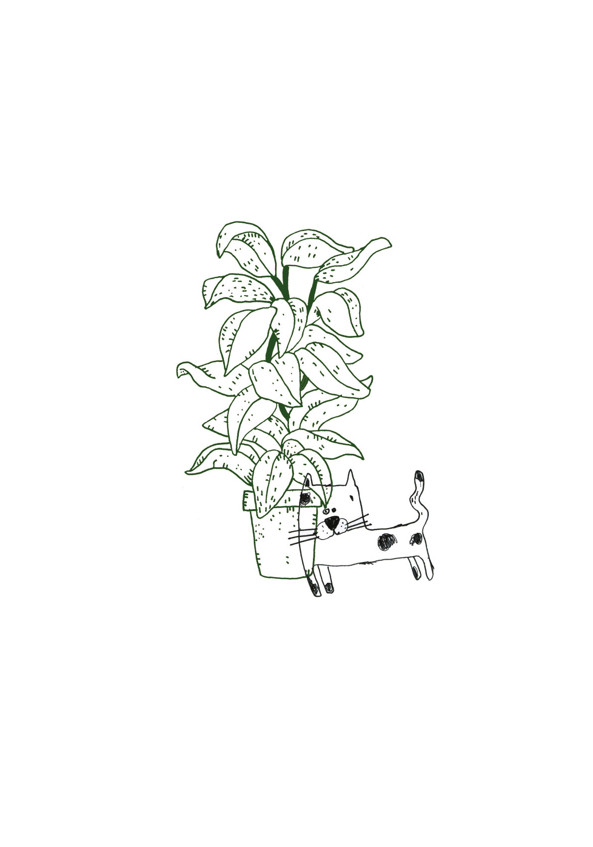 הדפס אומנותי מקורי - מיאו בעציץ