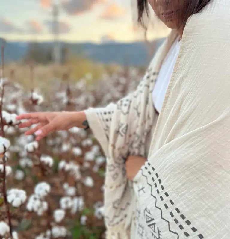 כירבולית טטרה Berber