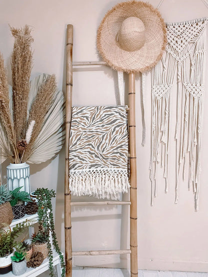 כירבולית טטרה Zebra