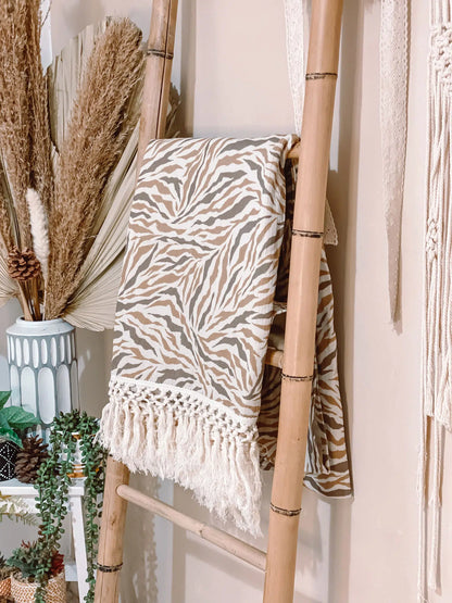 כירבולית טטרה Zebra