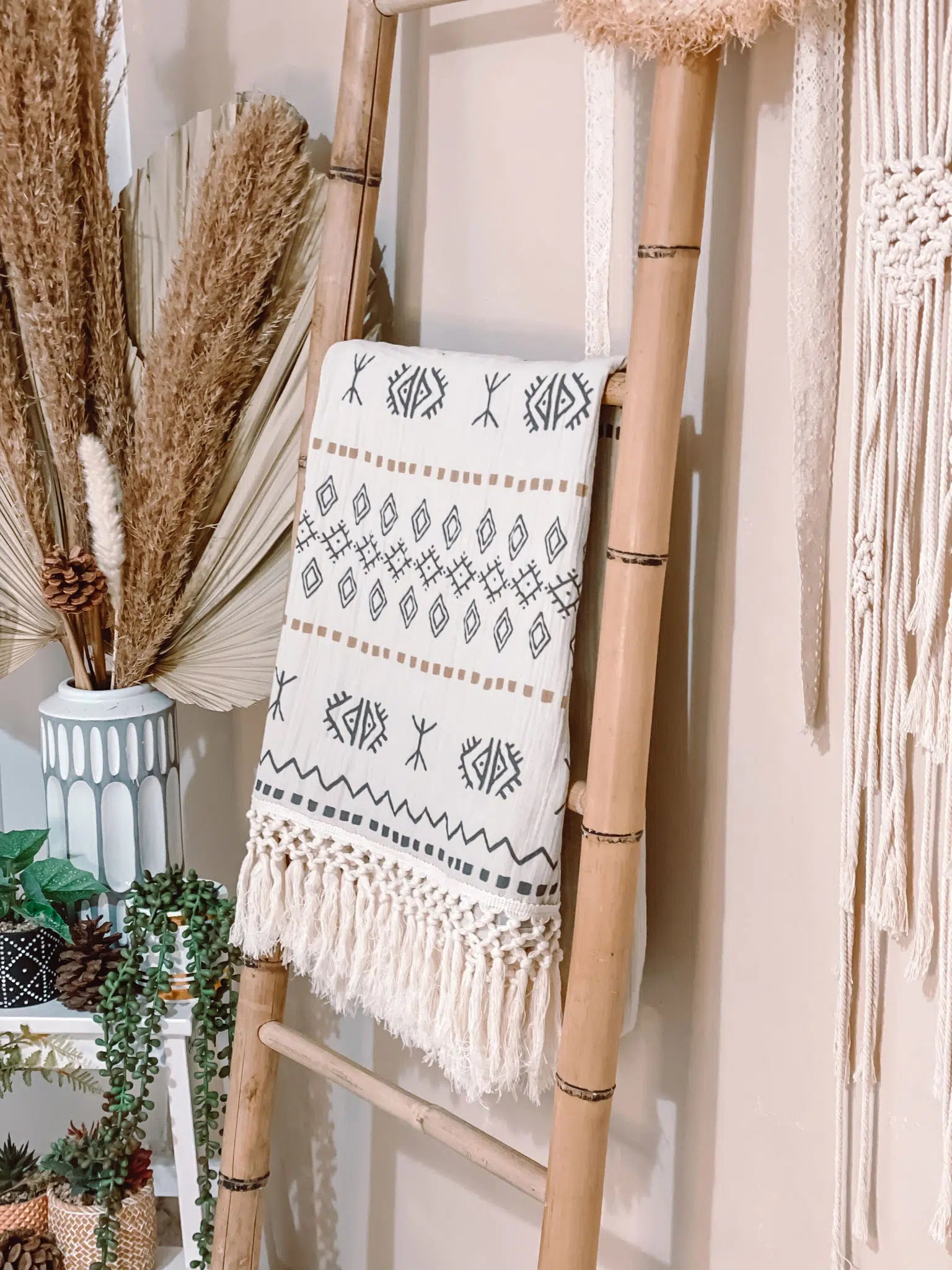 כירבולית טטרה Berber