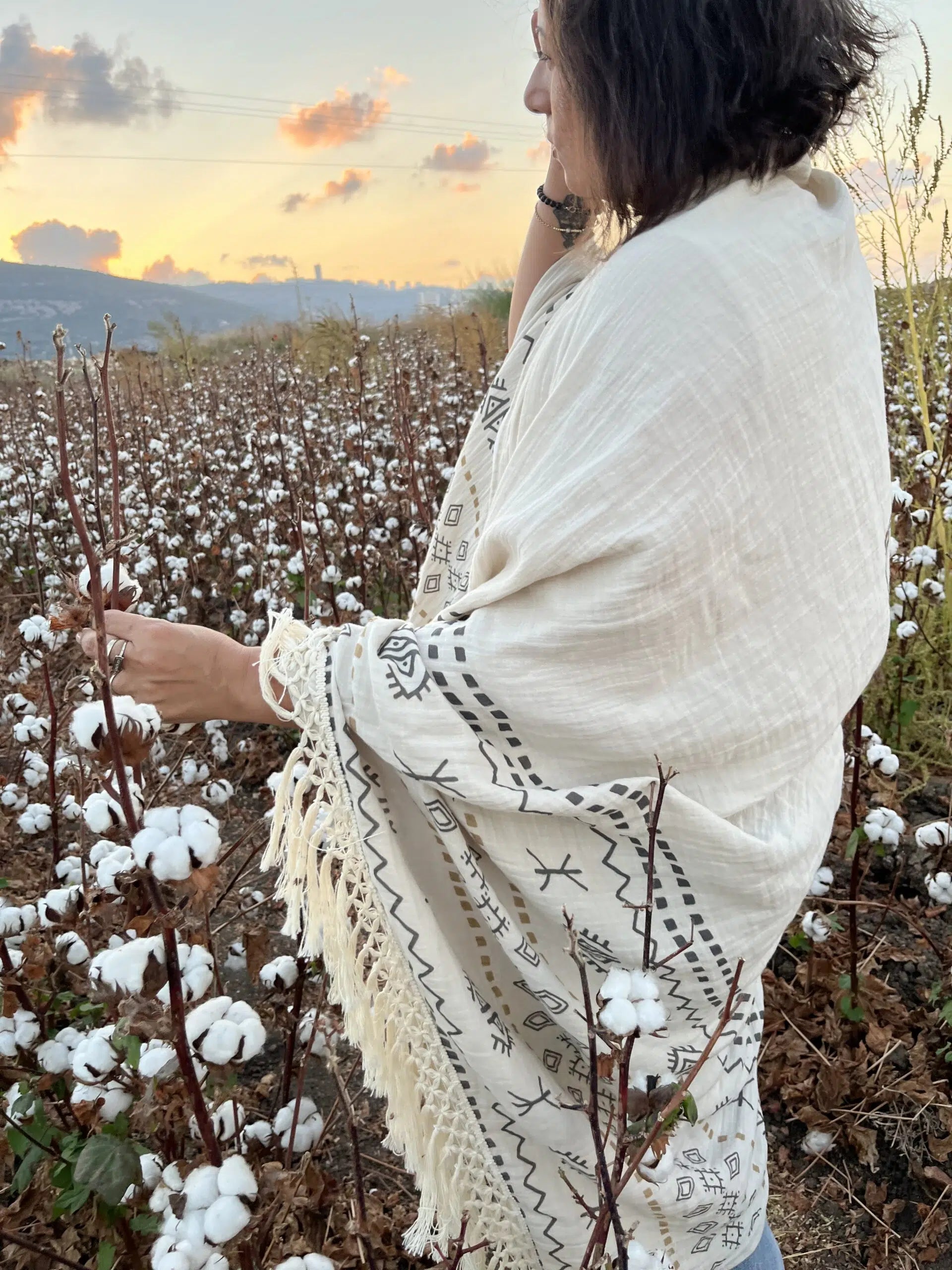 כירבולית טטרה Berber