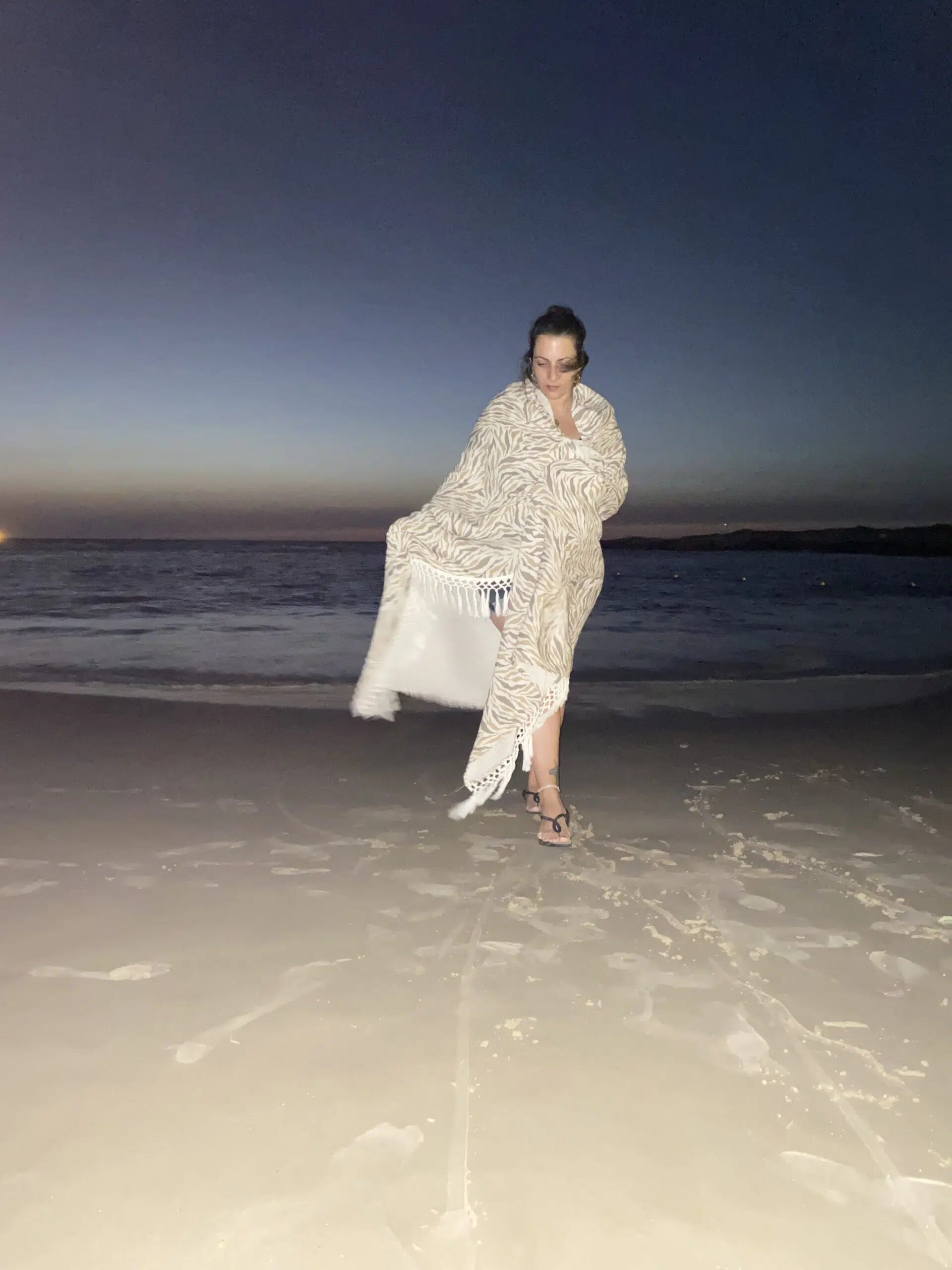 כירבולית טטרה Zebra