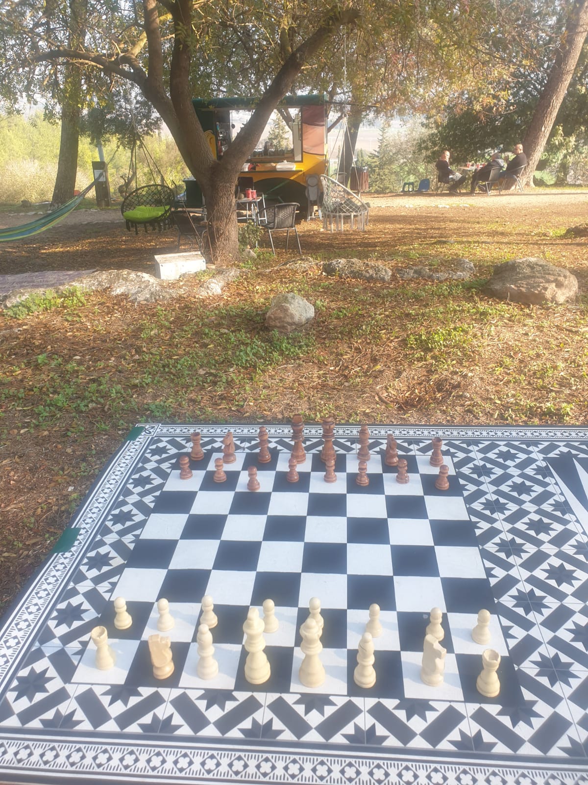 מפת ויניל - שח מט