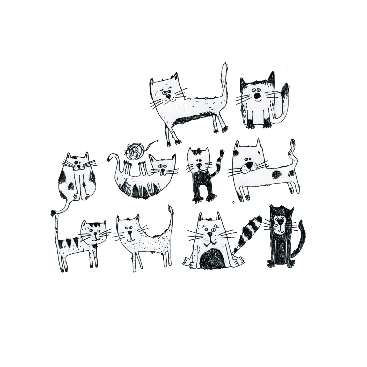 הדפס אומנותי מקורי - מיאו מיאו