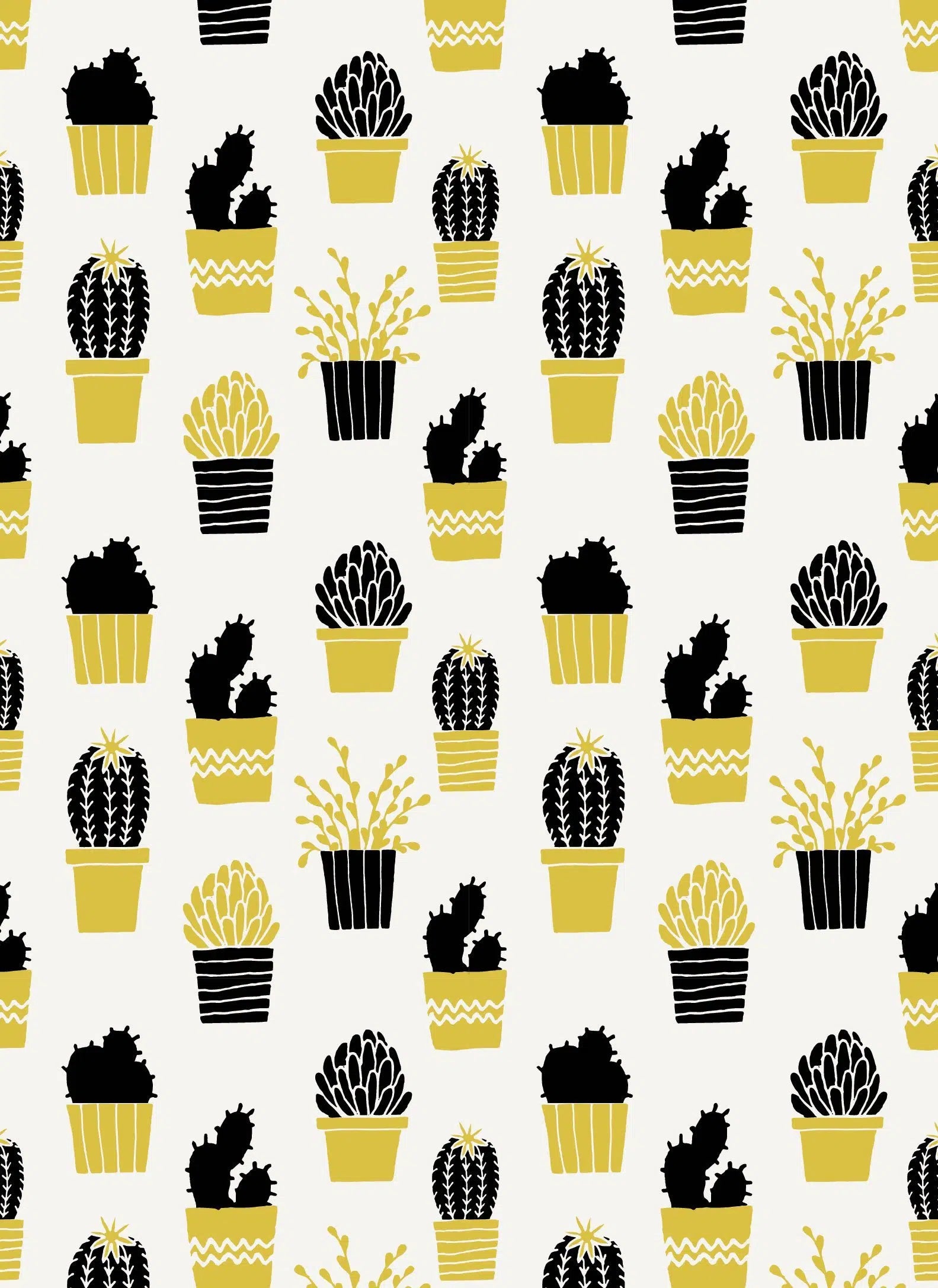 סט 4 גלויות - Tropical