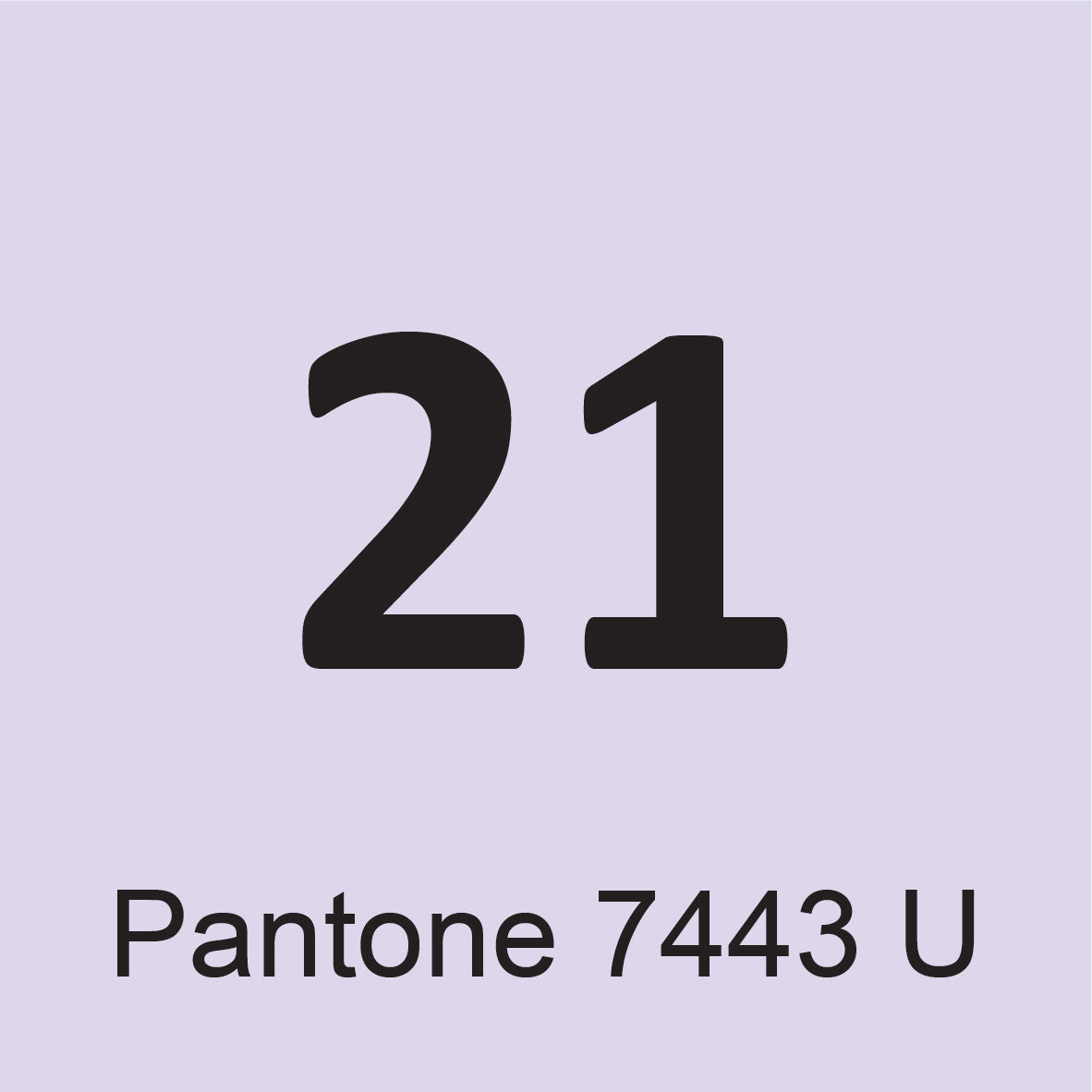 מדבקת טפט צורני - קשת