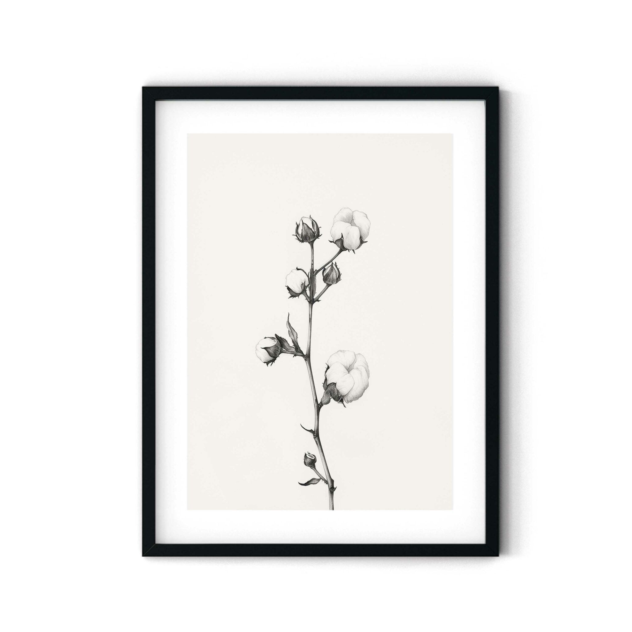 פוסטר - Cotton branch