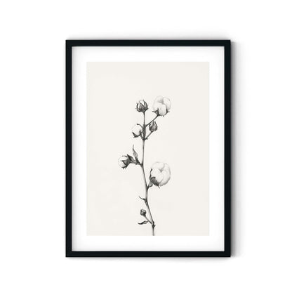 הדפס - Cotton branch