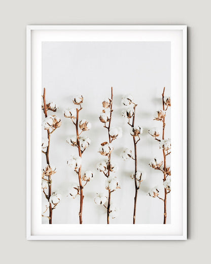 הדפס - Cotton Branch 02