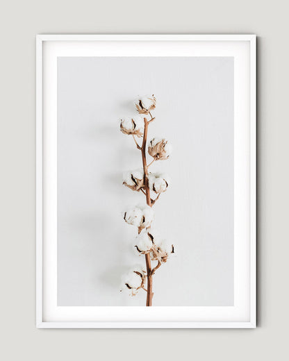 הדפס - Cotton Branch 01