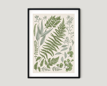 פוסטר - משפחת עלים בהיר