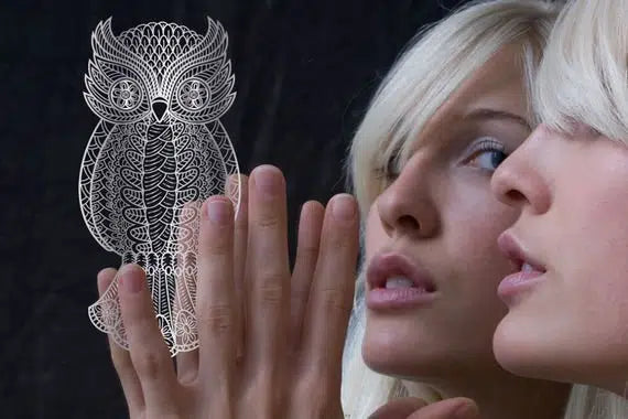 GlassIt ינשופים כסף