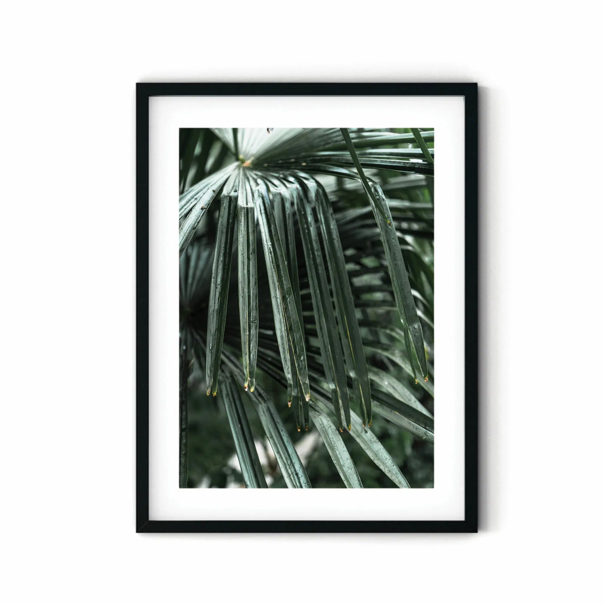 עודפים - הדפס למיסגור - Seaside green leaves 02