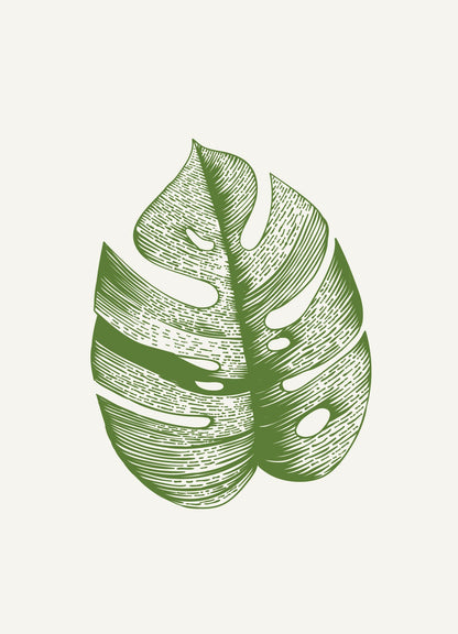 סט 5 הדפסים - רישום עלים