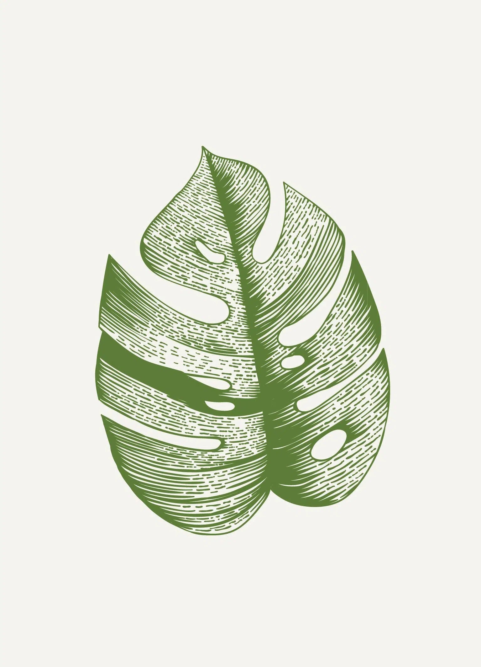 סט 5 גלויות - רישום עלים