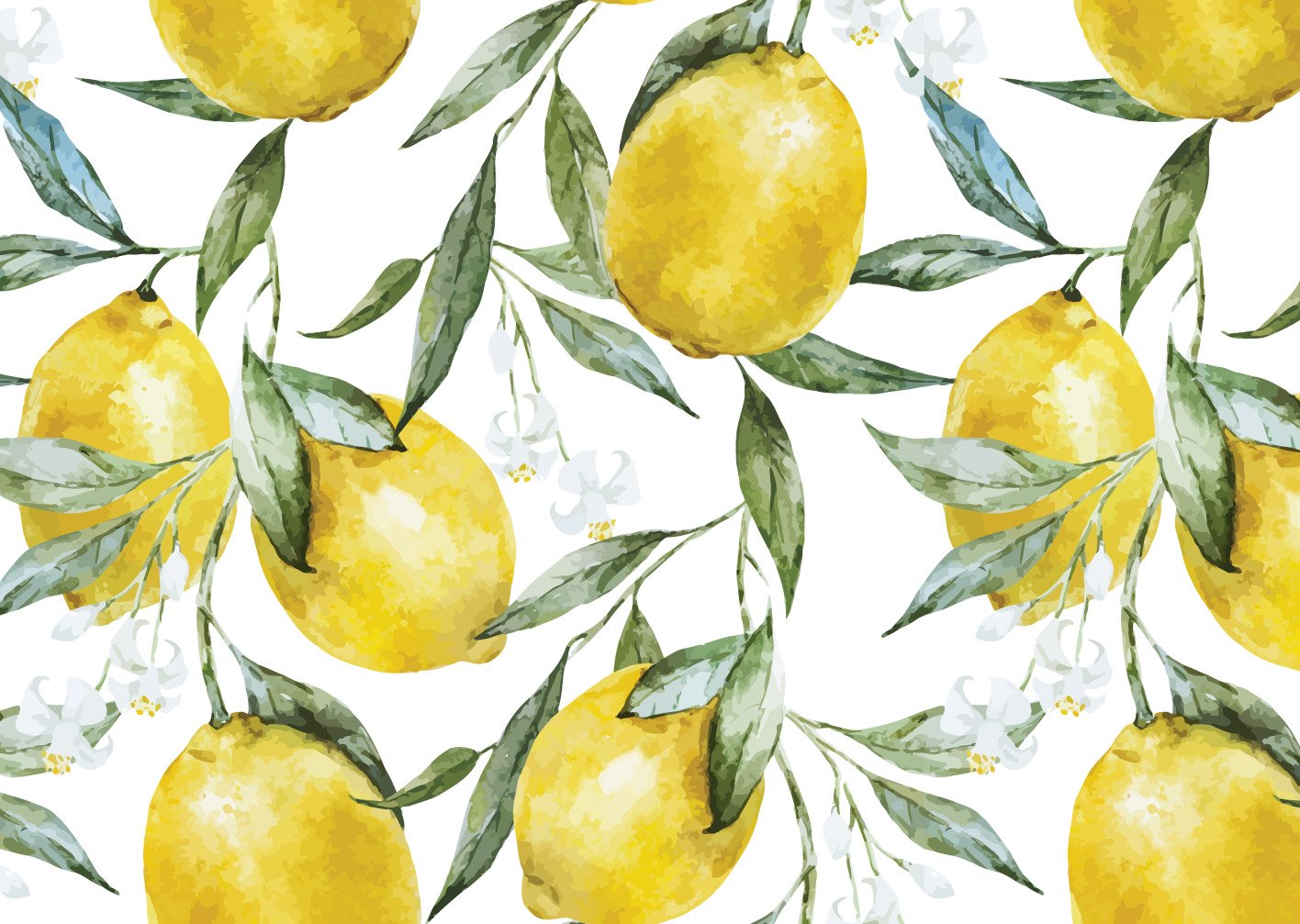 הדפס - לימונים