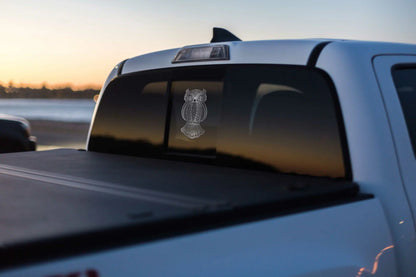 GlassIt ינשופים כסף