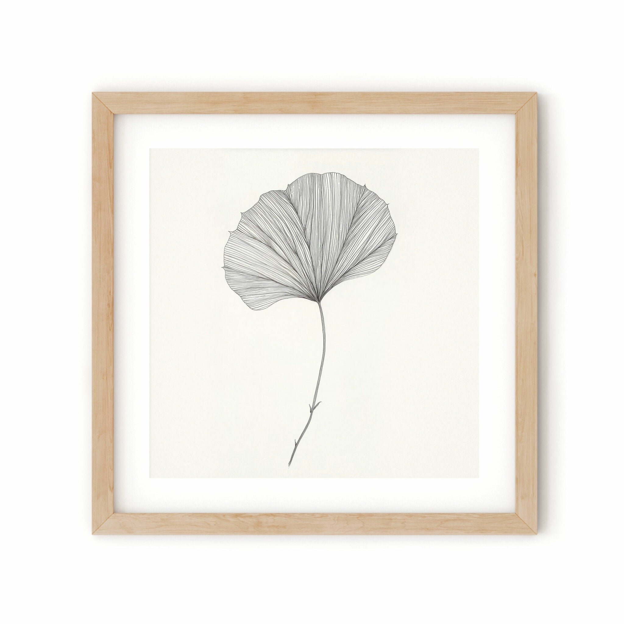 פוסטר - Round leaf sketch