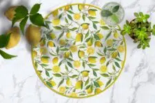 flat-lay-round-lemon