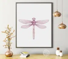 dragonfly-frame