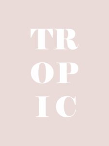 קולאז' קיר - Tropic vibes