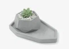 concrete-tray-dali-m-_-pot-nataly-top-side-view-