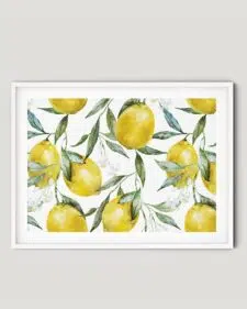 frame-lemon