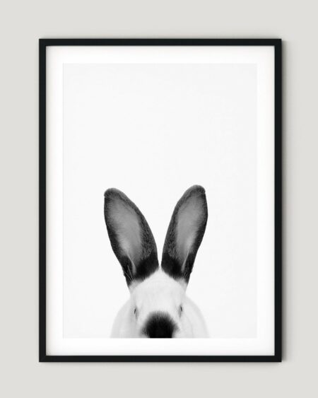frame-rabbit