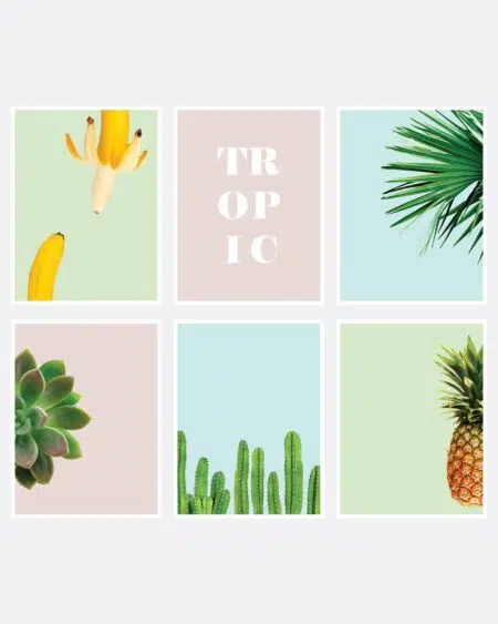 pastel_tropical_layout-01