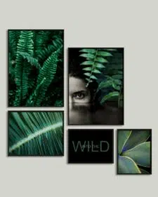 wild-green-layout