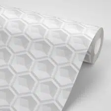 3D-hexagon-roll