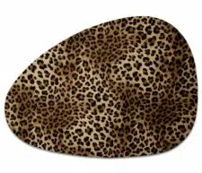 leopard-45_33-1