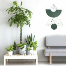 Plants on wooden table next to grey sofa in scandi living room interior with carpet. Real photo
