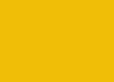 basic-yellow-5070