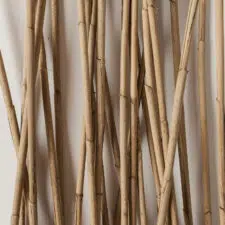 bamboo-50